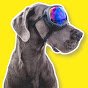 Generic placeholder image